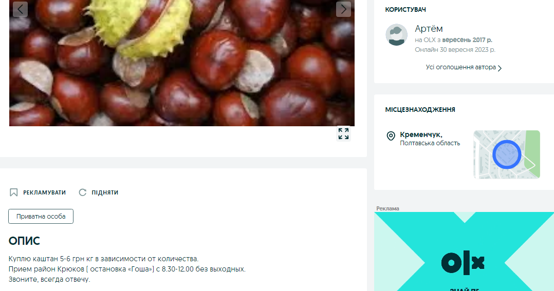 Порада на мільйон. Де можна здати каштани і хто за це платить найбільше