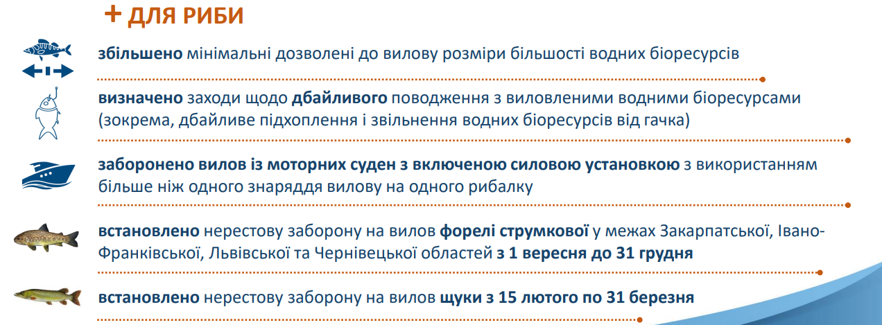 Новые штрафы для украинцев, которые любят рыбачить. Что изменилось