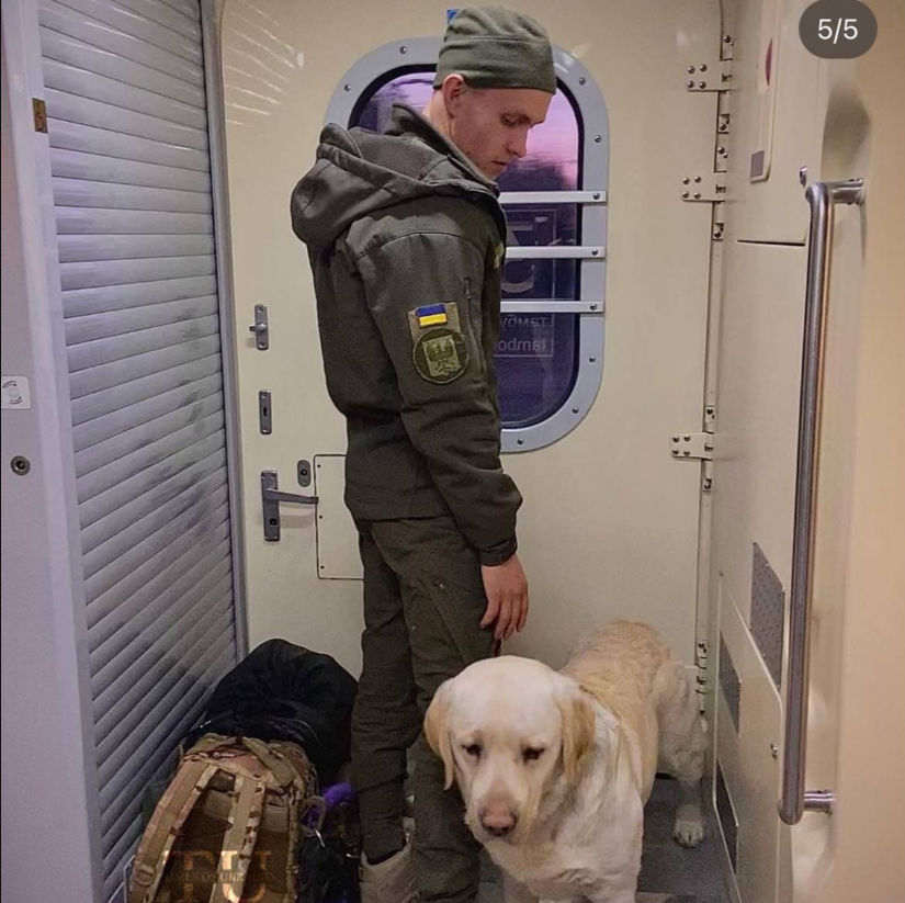 Военного со служебной собакой не пустили в салон поезда: подробности скандала (фото, видео)