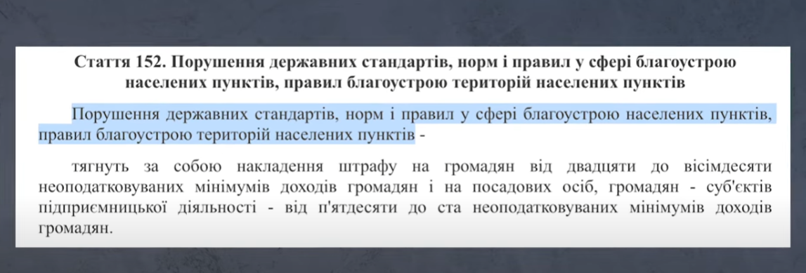 Можно ли ломать сирень: приметы, неожиданная новость от адвоката и мнение садоводов
