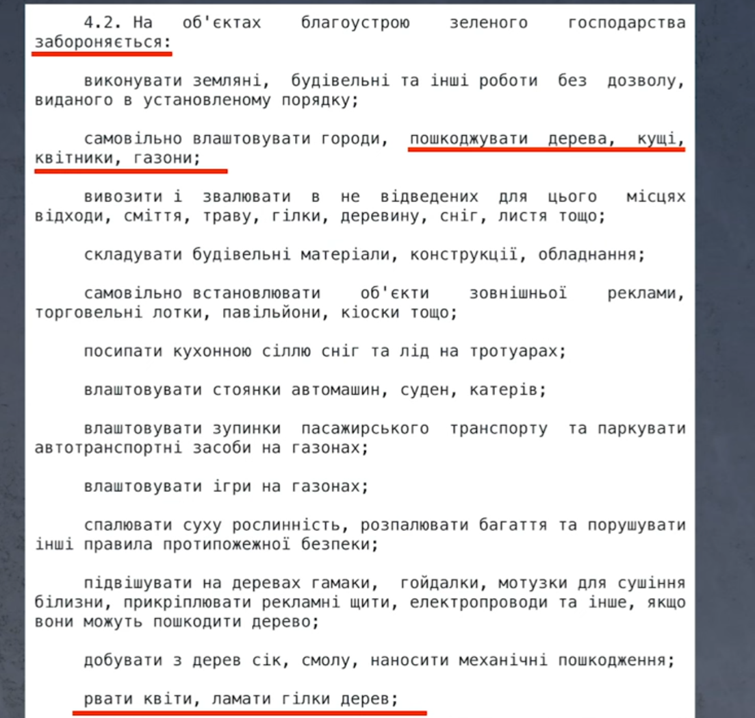 Можно ли ломать сирень: приметы, неожиданная новость от адвоката и мнение садоводов