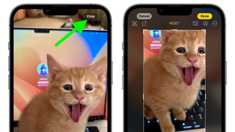iPhone может больше. 20 советов, которые сэкономят ваше время и сделают этот смартфон еще круче