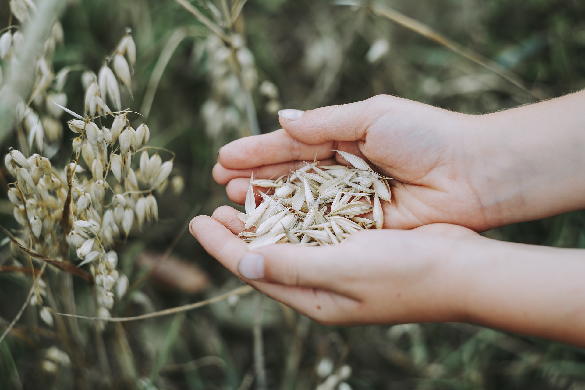 Названо продукти, які можна їсти на ніч: допомагають виспатися