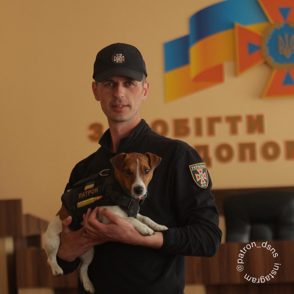 Пес Патрон стал первой собакой в истории с титулом "Пес Доброй Воли" от UNICEF