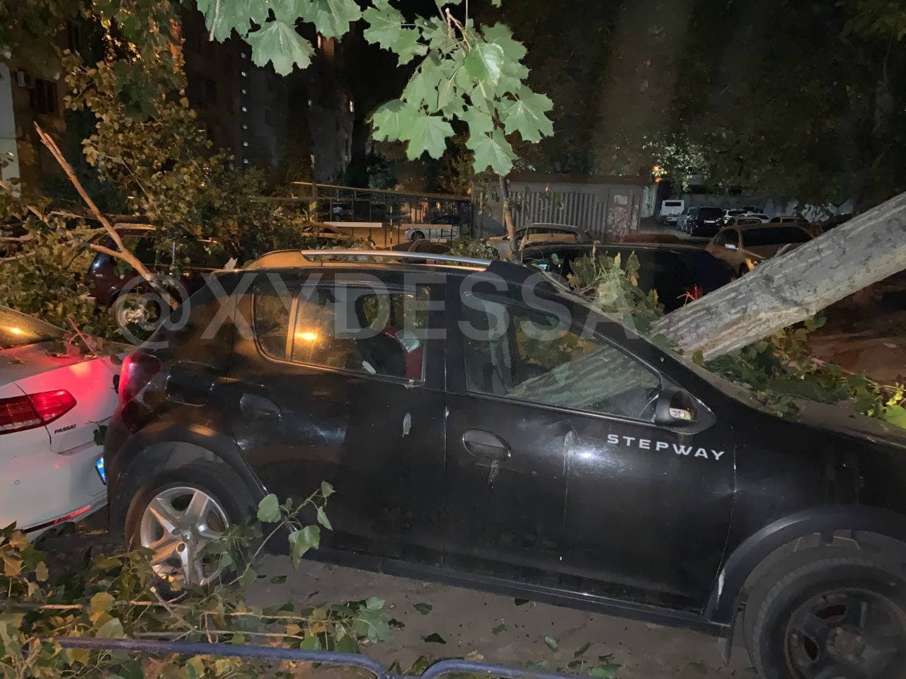 В Одессе дерево упало на припаркованные машины и раздавило семь авто (фото)