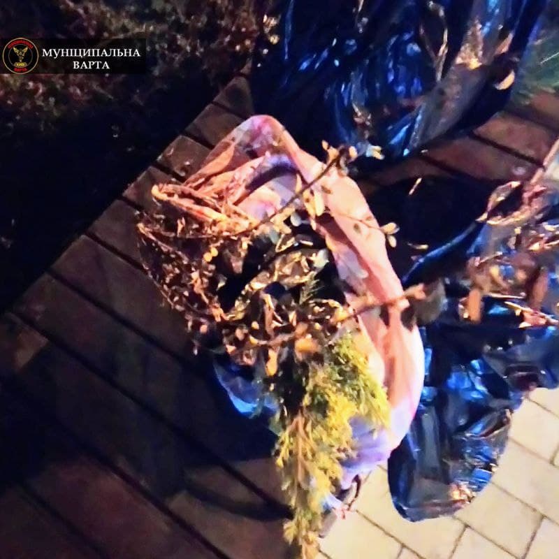 У Києві затримали злодійок із незвичайним "уловом": фото крадіжки