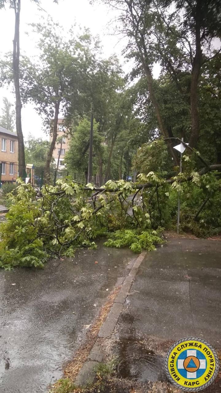 Блискавки з градом, потонуле авто і деревопад: відео і фото моторошної грози у Києві