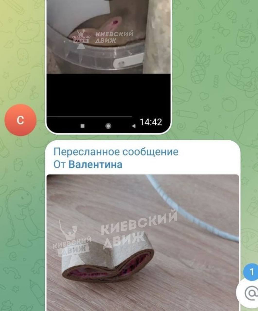 Киевлянку испугал "удав" в мусорном ведре: что это было на самом деле