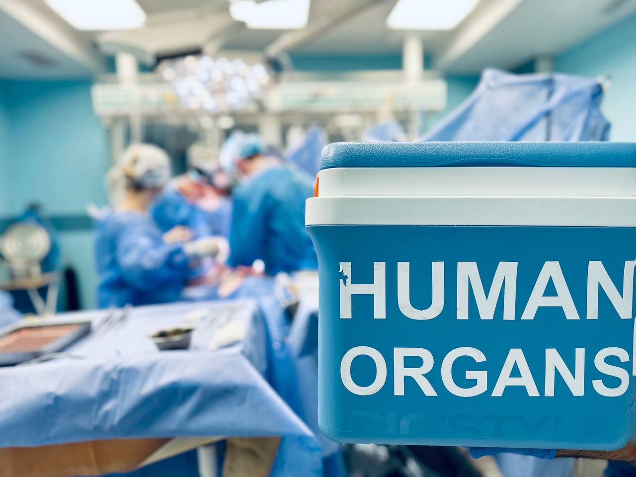 В Україні медики вперше в історії пересадили один орган двом людям: деталі унікальної операції