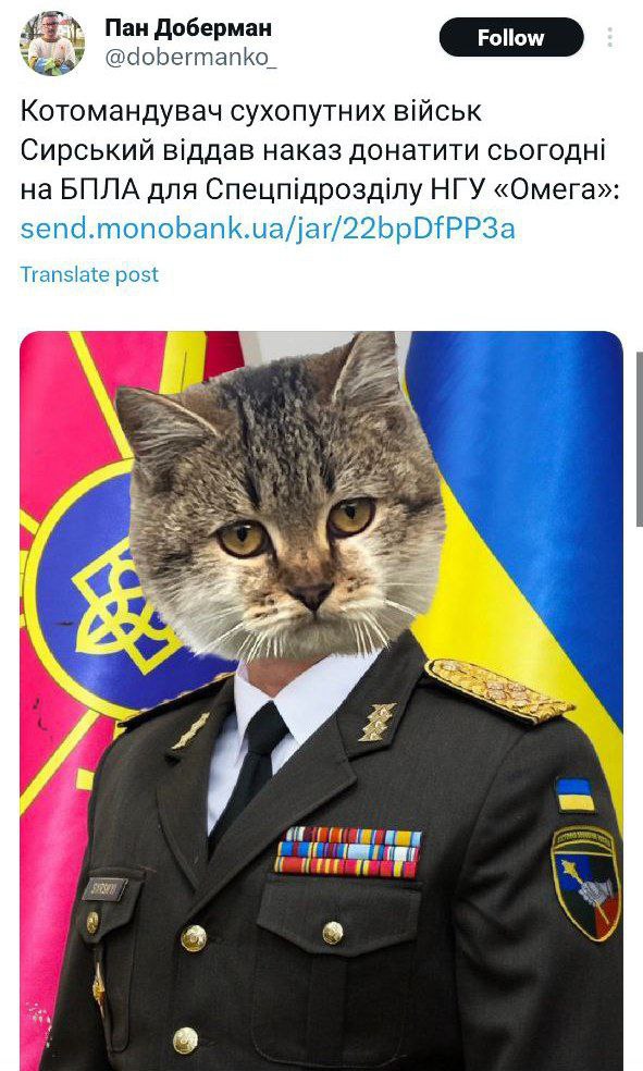 Чому Сирського зображають котом, а дехто називає "м'ясником"