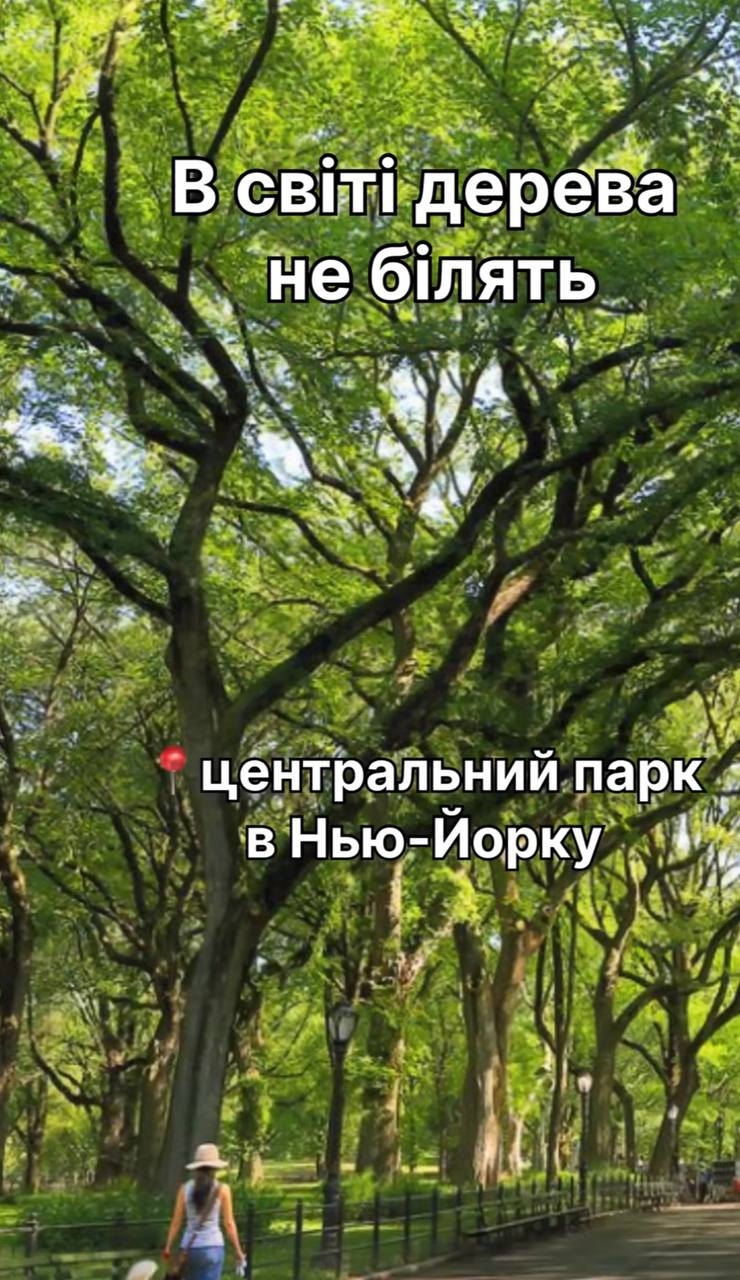Это не полезно: фермер развеял популярные мифы о побелке деревьев