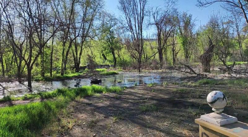 В Мариуполе экологический коллапс: в городском парке образовалась "река" из канализационных стоков