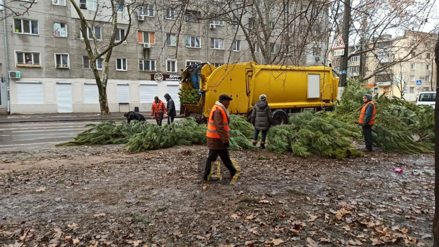 В Одесі продавці викинули на вулиці сотні непроданих ялинок (фото)