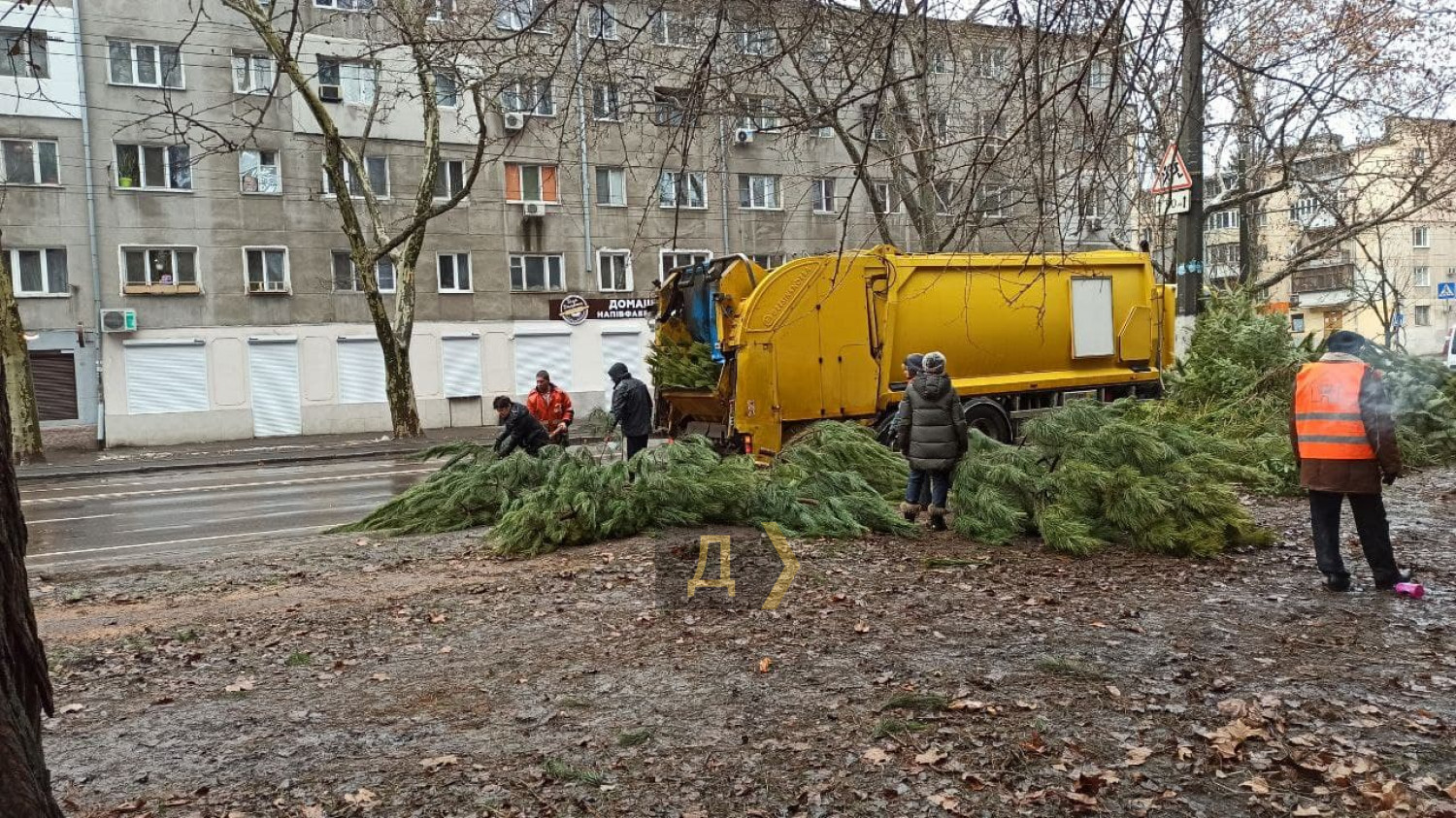 В Одесі продавці викинули на вулиці сотні непроданих ялинок (фото)