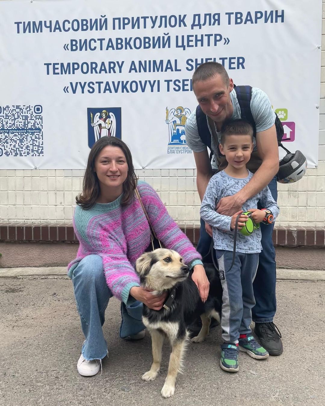 Кияни можуть взяти під опіку песика або кота: як це зробити