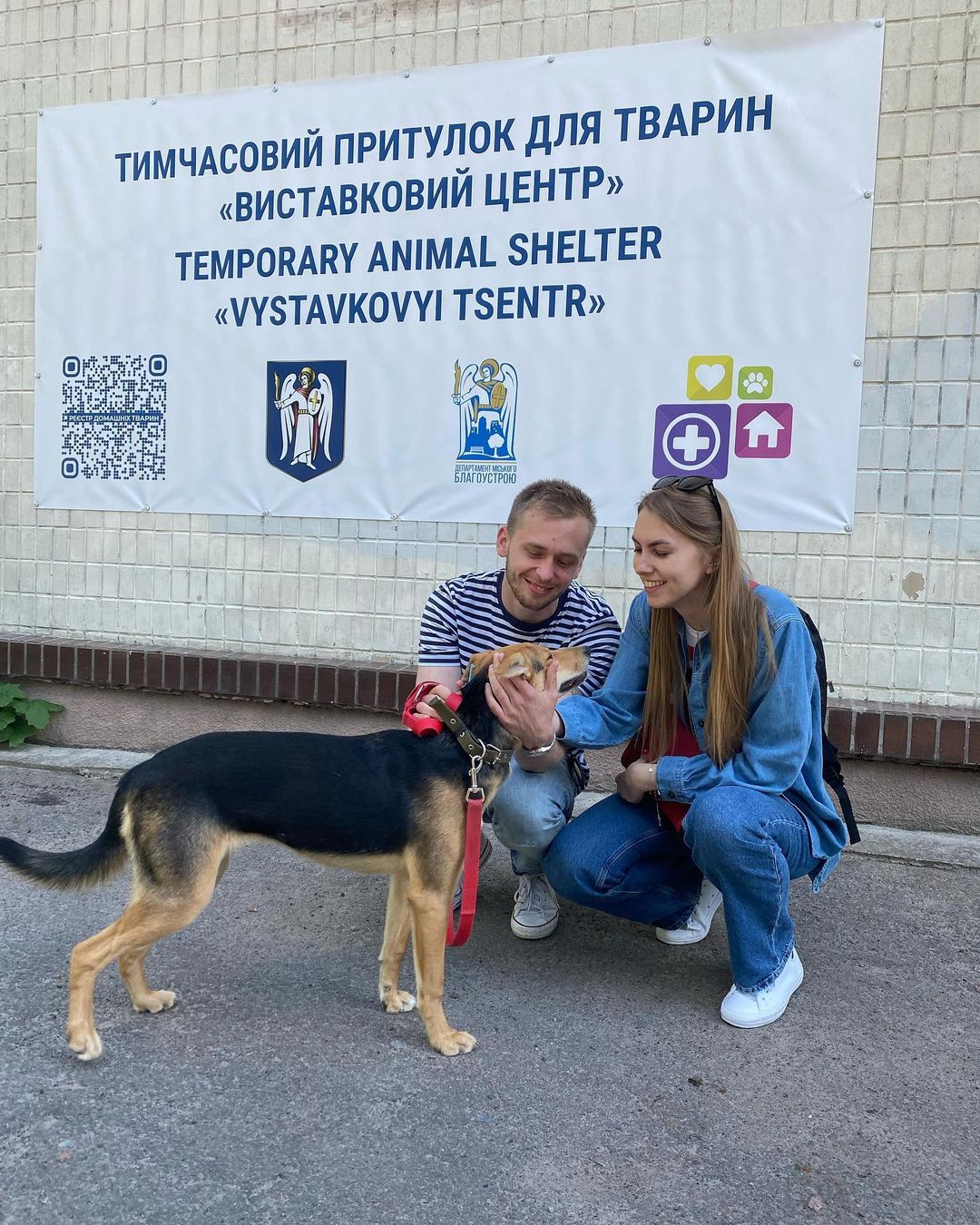 Кияни можуть взяти під опіку песика або кота: як це зробити