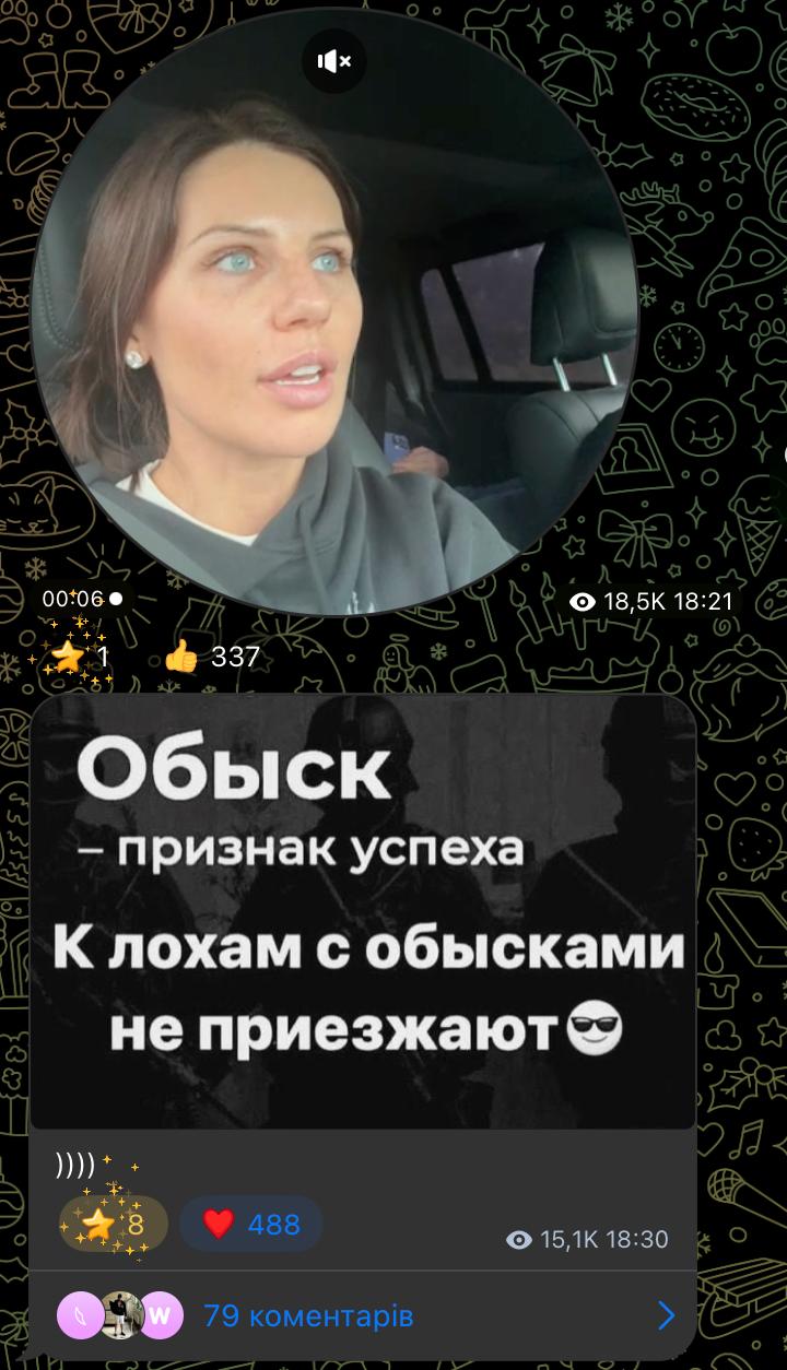 Против блогерши Анны Алхим открыли три уголовных дела, одно из них - за госизмену