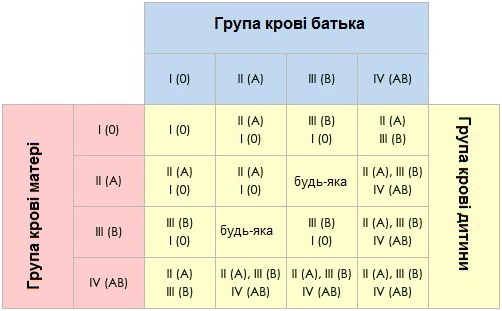 Як визначити групу крові дитини за батьківською і коли бувають "сюрпризи" (таблиця)