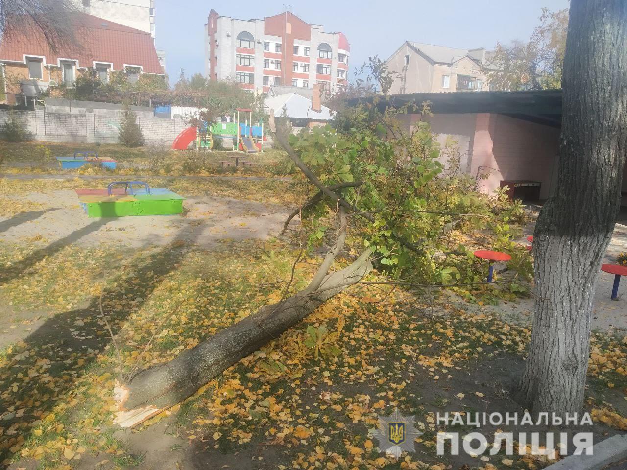 У Кременчуці в садочку на дітей завалилося дерево: 4-річна дівчинка в комі