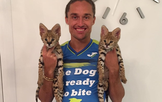 Долгополов copy