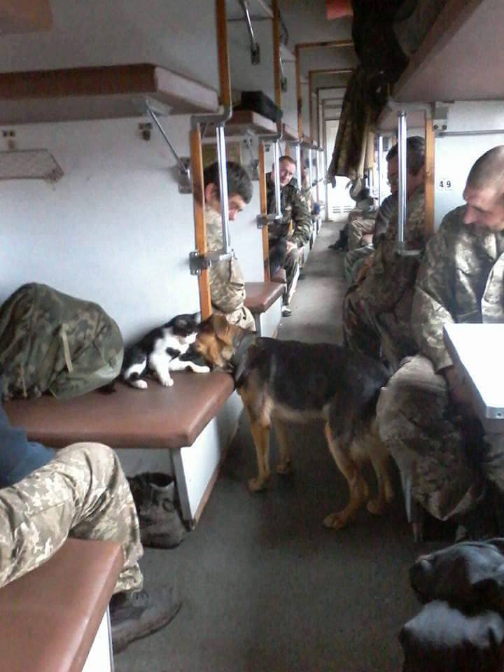 9165_1574725039511011_1745120364233162140_n